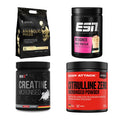 Masseaufbau für Fortgeschrittene: Kevin Levrone Anabolic + 3 weitere – alle enthaltenen Artikel