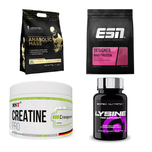 Masseaufbau für Fortgeschrittene: Kevin Levrone Anabolic + 3 weitere – alle enthaltenen Artikel