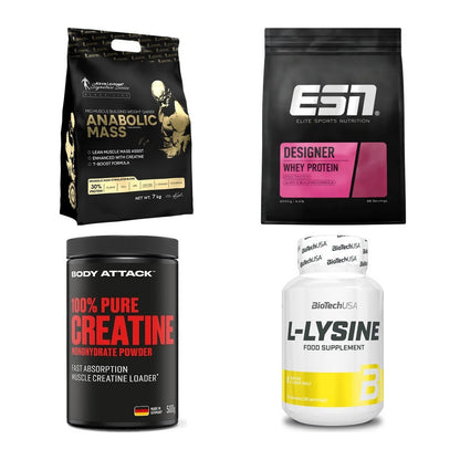 Masseaufbau für Fortgeschrittene: Kevin Levrone Anabolic + 3 weitere – alle enthaltenen Artikel