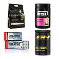 Masseaufbau für Fortgeschrittene: Kevin Levrone Anabolic + 3 weitere – alle enthaltenen Artikel