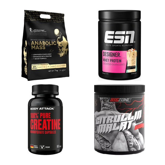Masseaufbau für Fortgeschrittene: Kevin Levrone Anabolic + 3 weitere – alle enthaltenen Artikel
