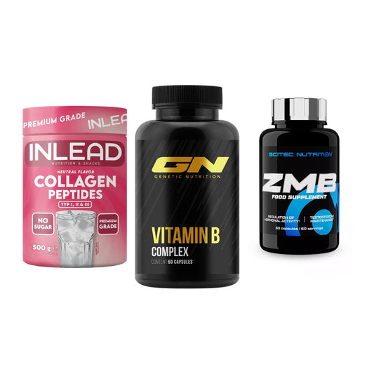 Haut, Haare & Nägel: INLEAD Collage + GN Vitamin + Scitec ZMB – alle enthaltenen Artikel