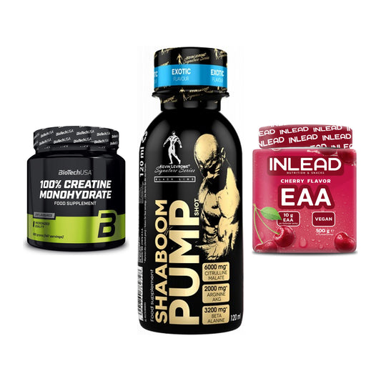 Kraft-Stack: BioTech Creatine + Kevin Levrone + INLEAD EAA – alle enthaltenen Artikel