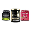 Kraft-Stack: BioTech Creatine + Kevin Levrone + INLEAD EAA – alle enthaltenen Artikel