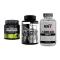 Kraft-Stack: BioTech Creatine + Kevin Levrone + MST 21 Amino – alle enthaltenen Artikel