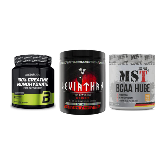 Kraft-Stack: BioTech Creatine + Viking Power + MST BCAA Huge 200 – alle enthaltenen Artikel