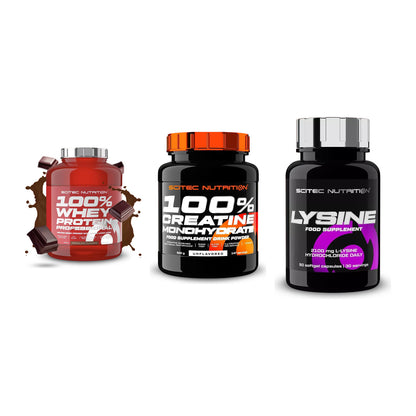 Scitec Nutrition Marken-Trio: 100% Whey + Creatine + 1 weitere – alle enthaltenen Artikel