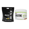 Masseaufbau-Set: FA Nutrition CORE Mass + MST Creatin Pro CREAPURE – alle enthaltenen Artikel