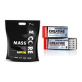Masseaufbau-Set: FA Nutrition CORE Mass + Nutrend Creatine – alle enthaltenen Artikel