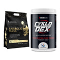 Masse-Duo: Kevin Levrone Anabolic Mass + Sinob Core CykloDex 1kg – alle enthaltenen Artikel