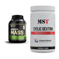 Masse-Duo: Optimum Nutrition Serious Mass + MST Cluster Dextrin – alle enthaltenen Artikel