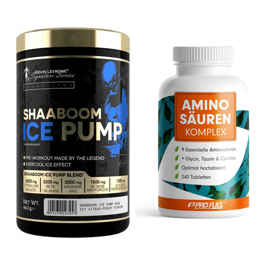 Trainings-Set: Kevin Levrone Shaaboom Ice + ProFuel Aminosäuren – alle enthaltenen Artikel