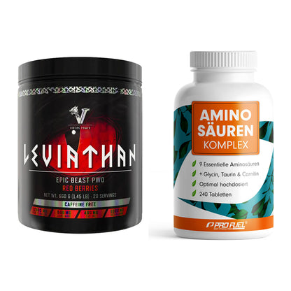 Trainings-Set: Viking Power Leviathan + ProFuel Aminosäuren – alle enthaltenen Artikel