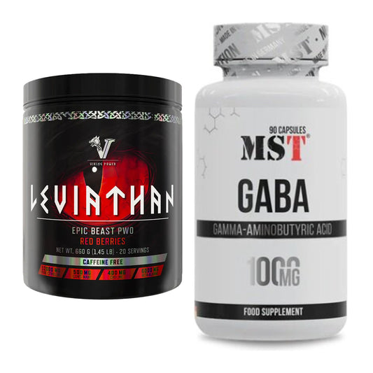 Trainings-Set: Viking Power Leviathan Hardcore + MST GABA 1000mg – alle enthaltenen Artikel