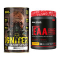 Trainings-Set: Nuclear Nutrition IGNITER + Body Attack Extreme – alle enthaltenen Artikel