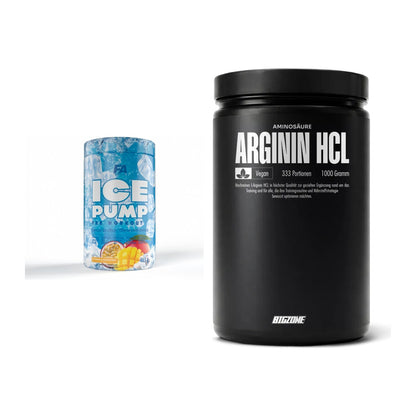 Trainings-Set: FA Nutrition ICE Pump Pre-Workout + Big Zone L-Arginin – alle enthaltenen Artikel