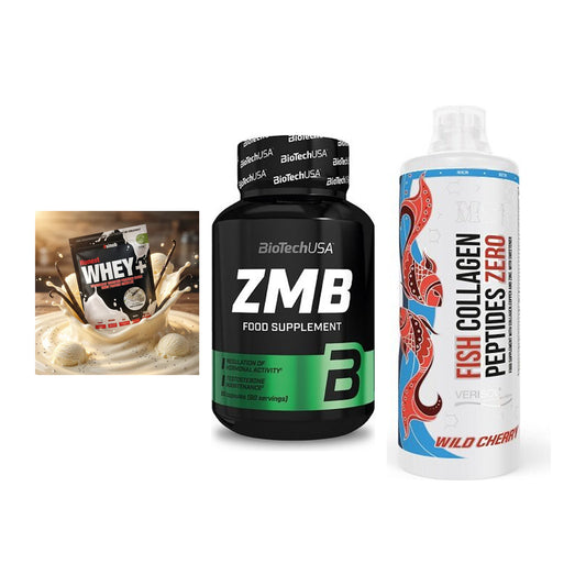 Regenerations-Set: Sinob Honest + BioTech ZMB + MST Fish – alle enthaltenen Artikel