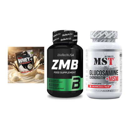 Regenerations-Set: Sinob Honest + BioTech ZMB + MST Glucosamine – alle enthaltenen Artikel