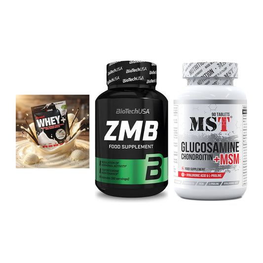 Regenerations-Set: Sinob Honest + BioTech ZMB + MST Glucosamine – alle enthaltenen Artikel