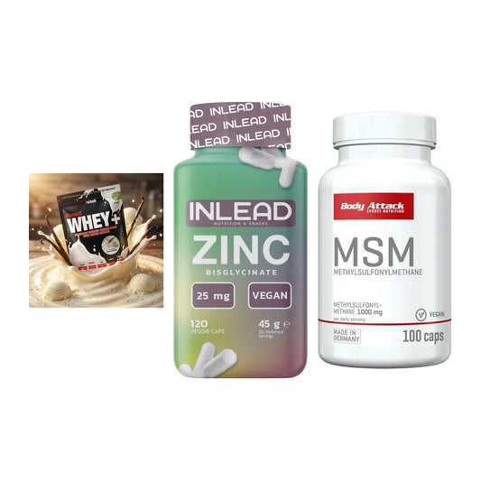 Regenerations-Set: Sinob Honest + INLEAD Zink + Body Attack MSM – alle enthaltenen Artikel