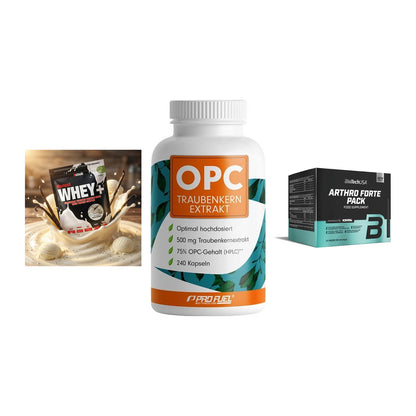 Regenerations-Set: Sinob Honest + ProFuel OPC + BioTech Arthro – alle enthaltenen Artikel