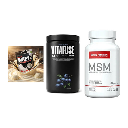 Regenerations-Set: Sinob Honest + Big Zone + Body Attack MSM – alle enthaltenen Artikel