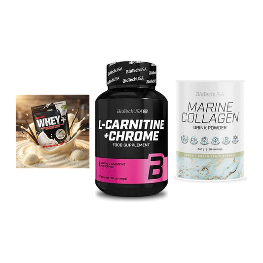 Regenerations-Set: Sinob Honest + BioTech L-Carni + BioTech Marine – alle enthaltenen Artikel