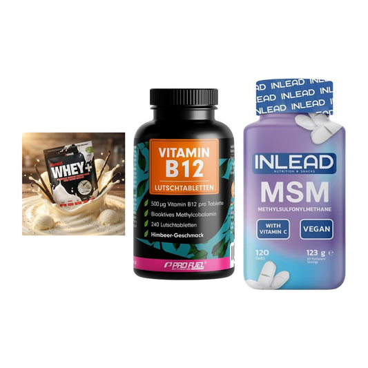 Regenerations-Set: Sinob Honest + ProFuel Vitamin + INLEAD MSM – alle enthaltenen Artikel