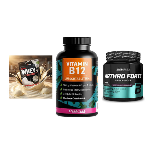 Regenerations-Set: Sinob Honest + ProFuel Vitamin + BioTech Arthro – alle enthaltenen Artikel