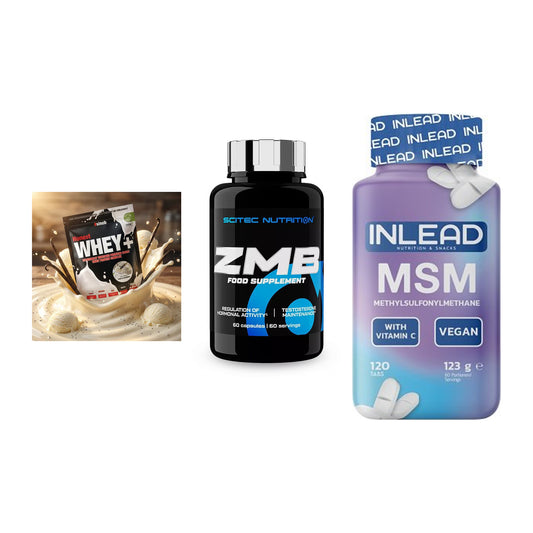 Regenerations-Set: Sinob Honest + Scitec ZMB + INLEAD MSM – alle enthaltenen Artikel