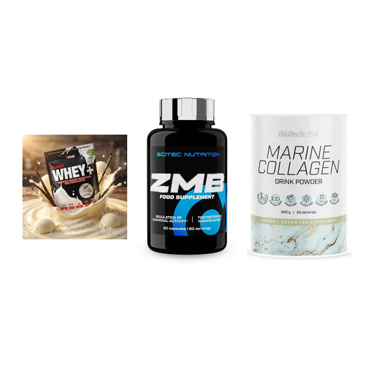 Regenerations-Set: Sinob Honest + Scitec ZMB + BioTech Marine – alle enthaltenen Artikel