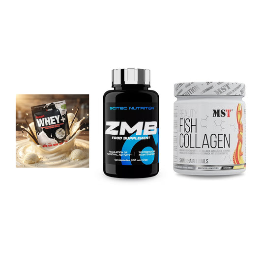 Regenerations-Set: Sinob Honest + Scitec ZMB + MST Beauty Fish – alle enthaltenen Artikel