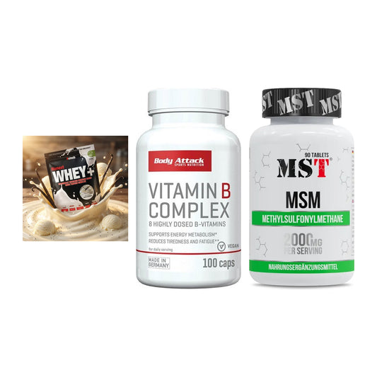 Regenerations-Set: Sinob Honest + Body Attack + MST MSM 2000 / – alle enthaltenen Artikel