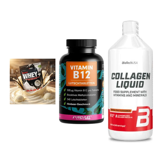 Regenerations-Set: Sinob Honest + ProFuel Vitamin + BioTech Collage – alle enthaltenen Artikel