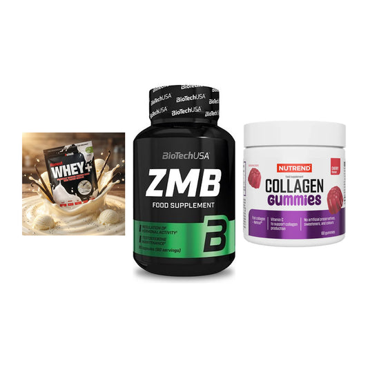 Regenerations-Set: Sinob Honest + BioTech ZMB + Nutrend Collage – alle enthaltenen Artikel
