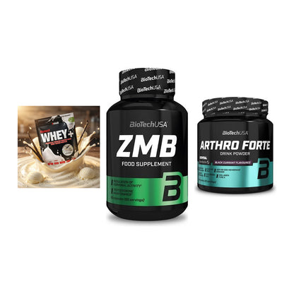 Regenerations-Set: Sinob Honest + BioTech ZMB + BioTech Arthro – alle enthaltenen Artikel