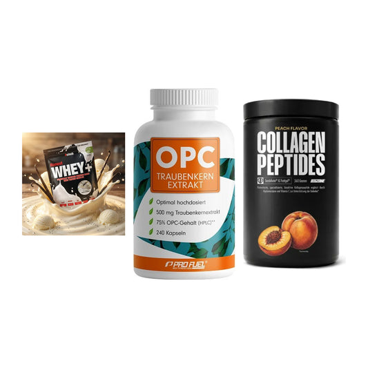 Regenerations-Set: Sinob Honest + ProFuel OPC + Big Zone – alle enthaltenen Artikel