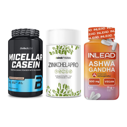 Schlaf & Erholung: BioTech Micella + Sinob Zink + INLEAD Ashwagan – alle enthaltenen Artikel