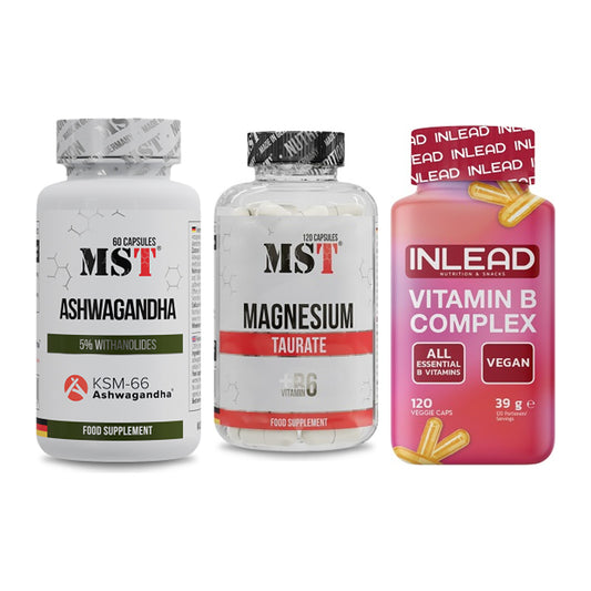 Stress & Balance: MST Ashwagandha + MST Magnesium + INLEAD Vitamin – alle enthaltenen Artikel