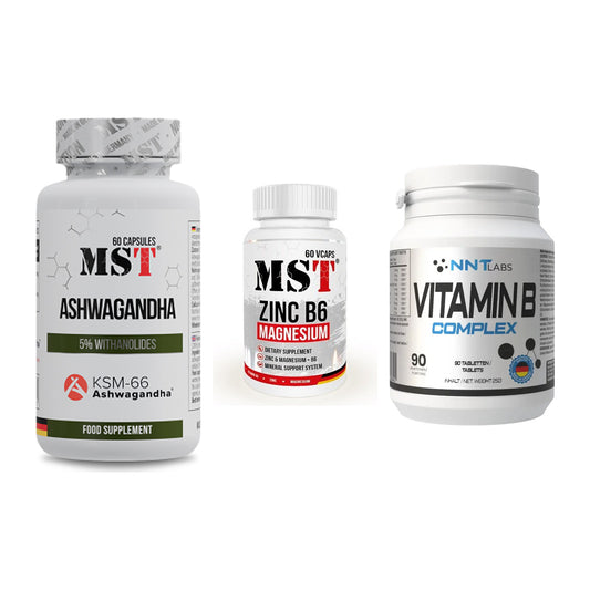 Stress & Balance: MST Ashwagandha + MST Zinc + NNT Vitamin B – alle enthaltenen Artikel