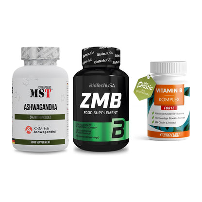 Stress & Balance: MST Ashwagandha + BioTech ZMB + ProFuel Vitamin – alle enthaltenen Artikel