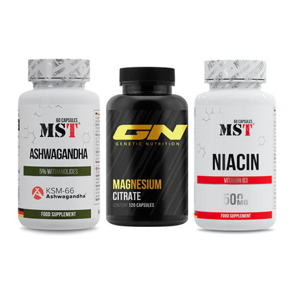 Stress & Balance: MST Ashwagandha + GN Magnesium + MST Niacin – alle enthaltenen Artikel
