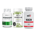 Stress & Balance: BioTech Ashwaga + Sinob Magnesium + MST Niacin – alle enthaltenen Artikel