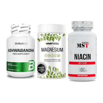 Stress & Balance: BioTech Ashwaga + Sinob Magnesium + MST Niacin – alle enthaltenen Artikel
