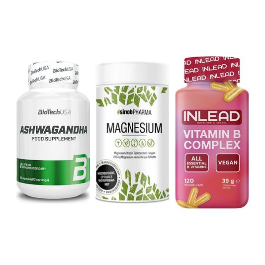 Stress & Balance: BioTech Ashwaga + Sinob Magnesium + INLEAD Vitamin – alle enthaltenen Artikel