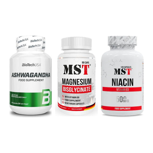 Stress & Balance: BioTech Ashwaga + MST Magnesium + MST Niacin – alle enthaltenen Artikel