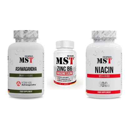 MST Stress & Balance: Ashwagandha + Zinc + Magnesi + Niacin – alle enthaltenen Artikel