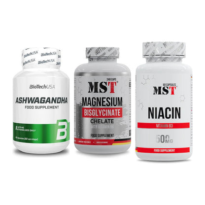 Stress & Balance: BioTech Ashwaga + MST Magnesium + MST Niacin – alle enthaltenen Artikel