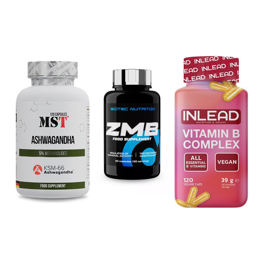 Stress & Balance: MST Ashwagandha + Scitec ZMB + INLEAD Vitamin – alle enthaltenen Artikel