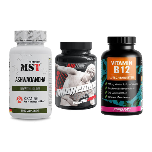 Stress & Balance: MST Ashwagandha + Big Zone + ProFuel Vitamin – alle enthaltenen Artikel